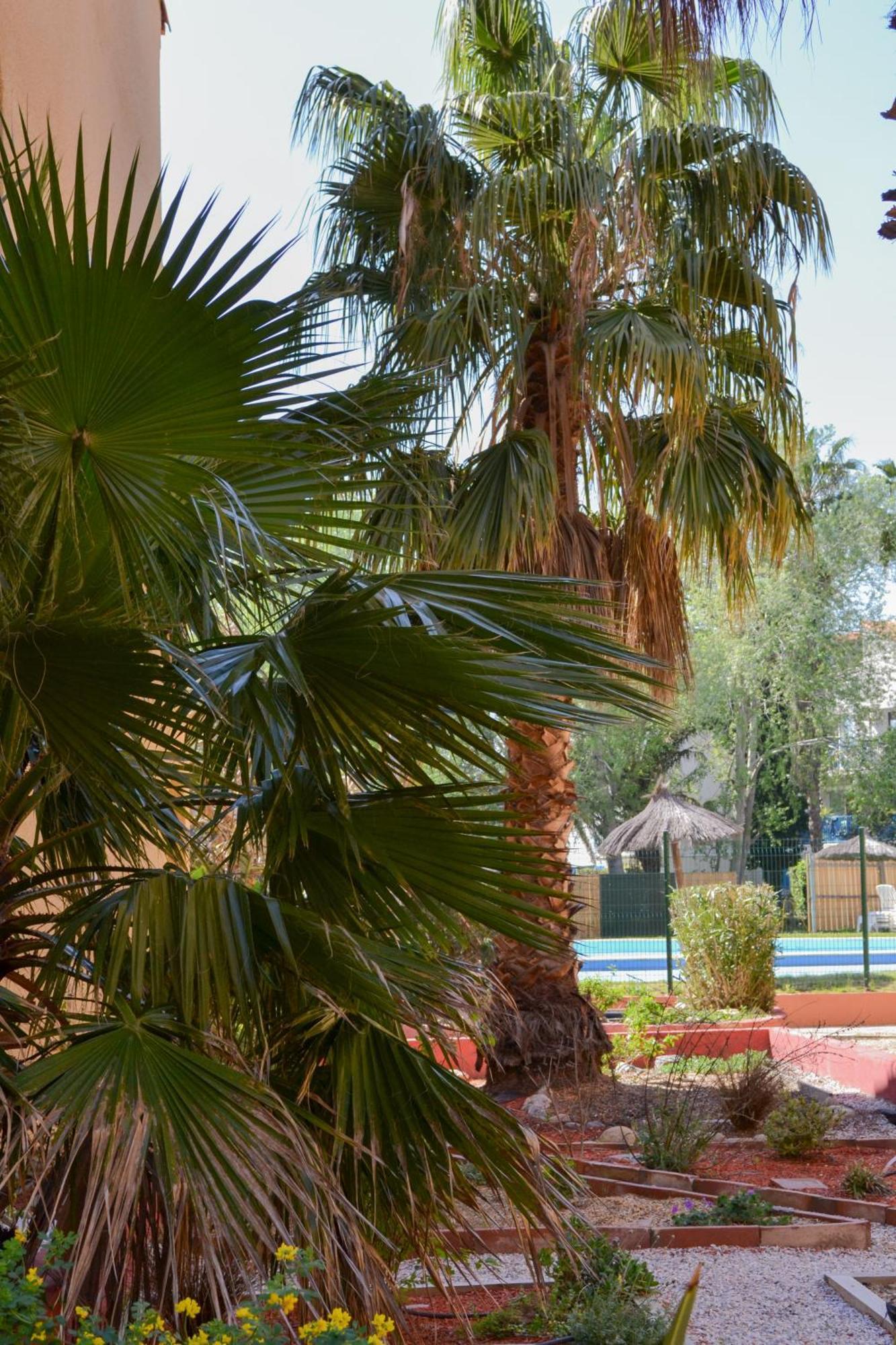 קאנט אן רוסיון Malibu Village מראה חיצוני תמונה